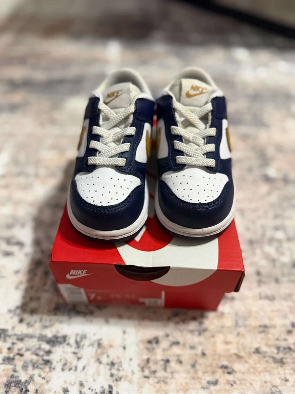 Toddler Nike Dunk Low